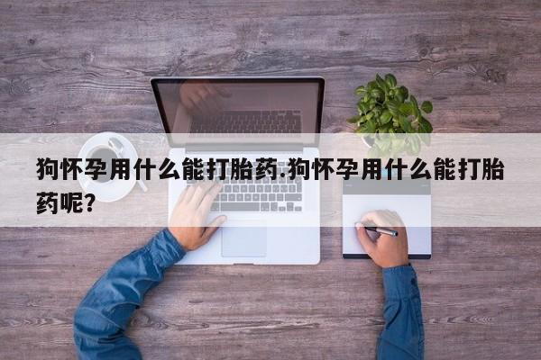 正品打胎药微信购买方式狗怀孕用什么能打胎药.狗怀孕用什么能打胎药呢？