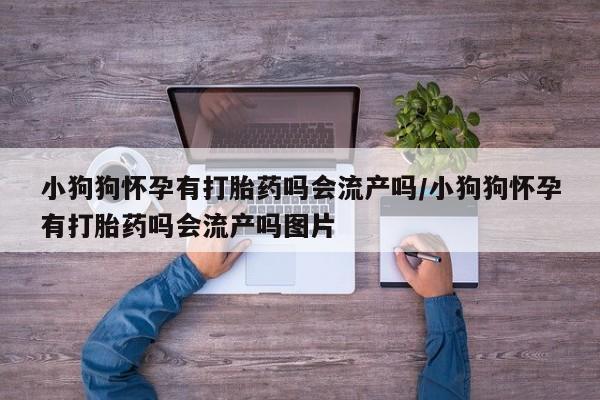 正品打胎药微信购买方式小狗狗怀孕有打胎药吗会流产吗/小狗狗怀孕有打胎药吗会流产吗图片
